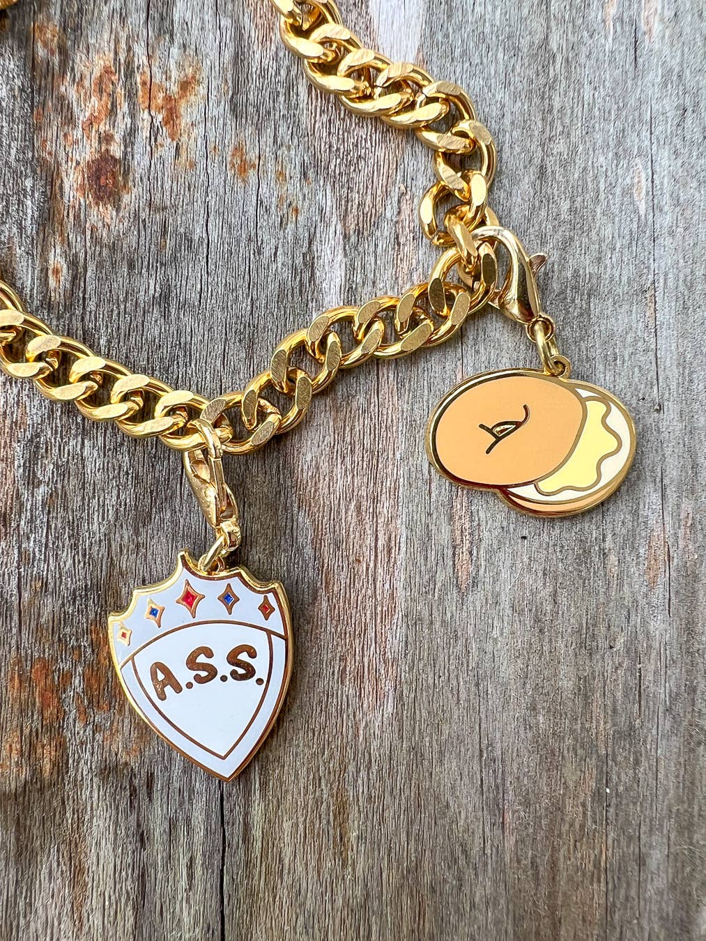 Zodiac Academy Bookish Jewelry Charm Set