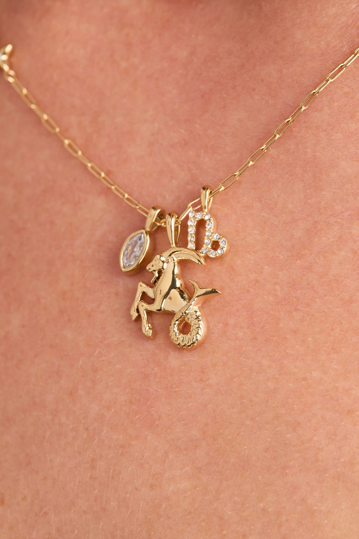 Capricorn Zodiac Charm Cluster Necklace