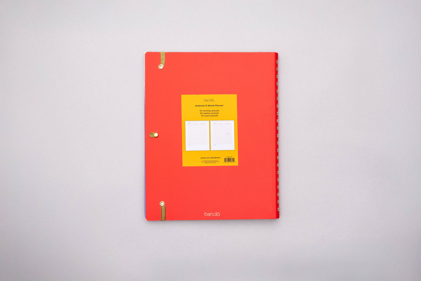 Weekly Undated Planner (Semi-Concealed), Ready for Anything